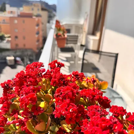Calliope * Sorrento