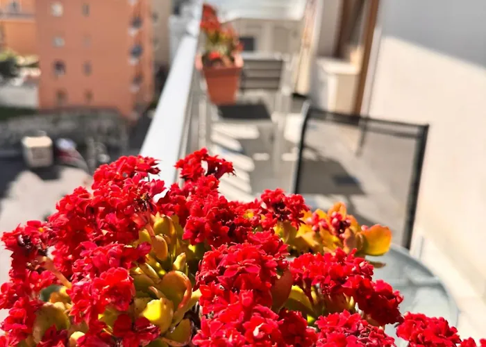 Calliope * Sorrento
